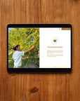 Introduction to Summer Curriculum (Digital)