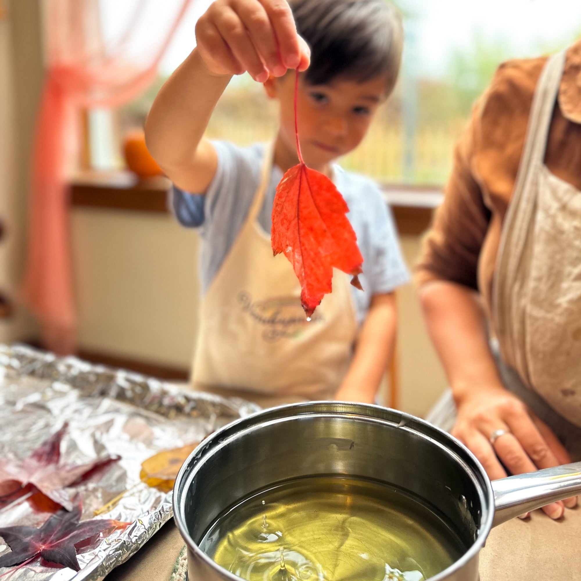 Organic Beeswax Bars (2lb)