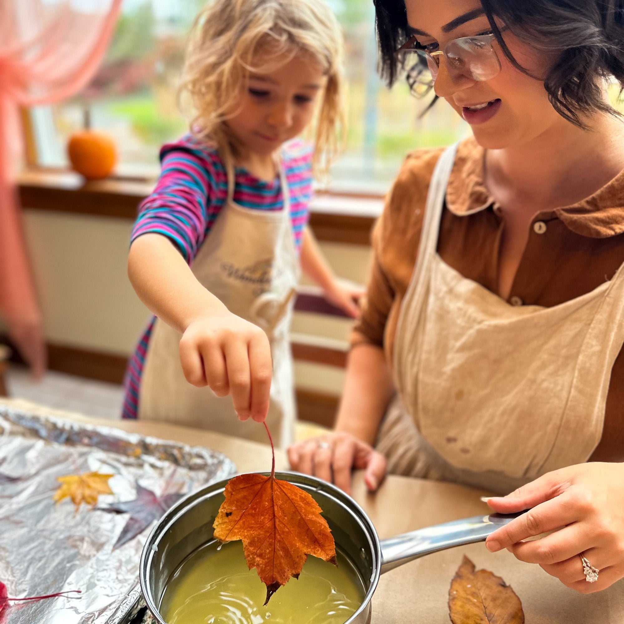 Organic Beeswax Bars (2lb)