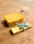 Pop-Up Cellulose Sponges (Set of 2)