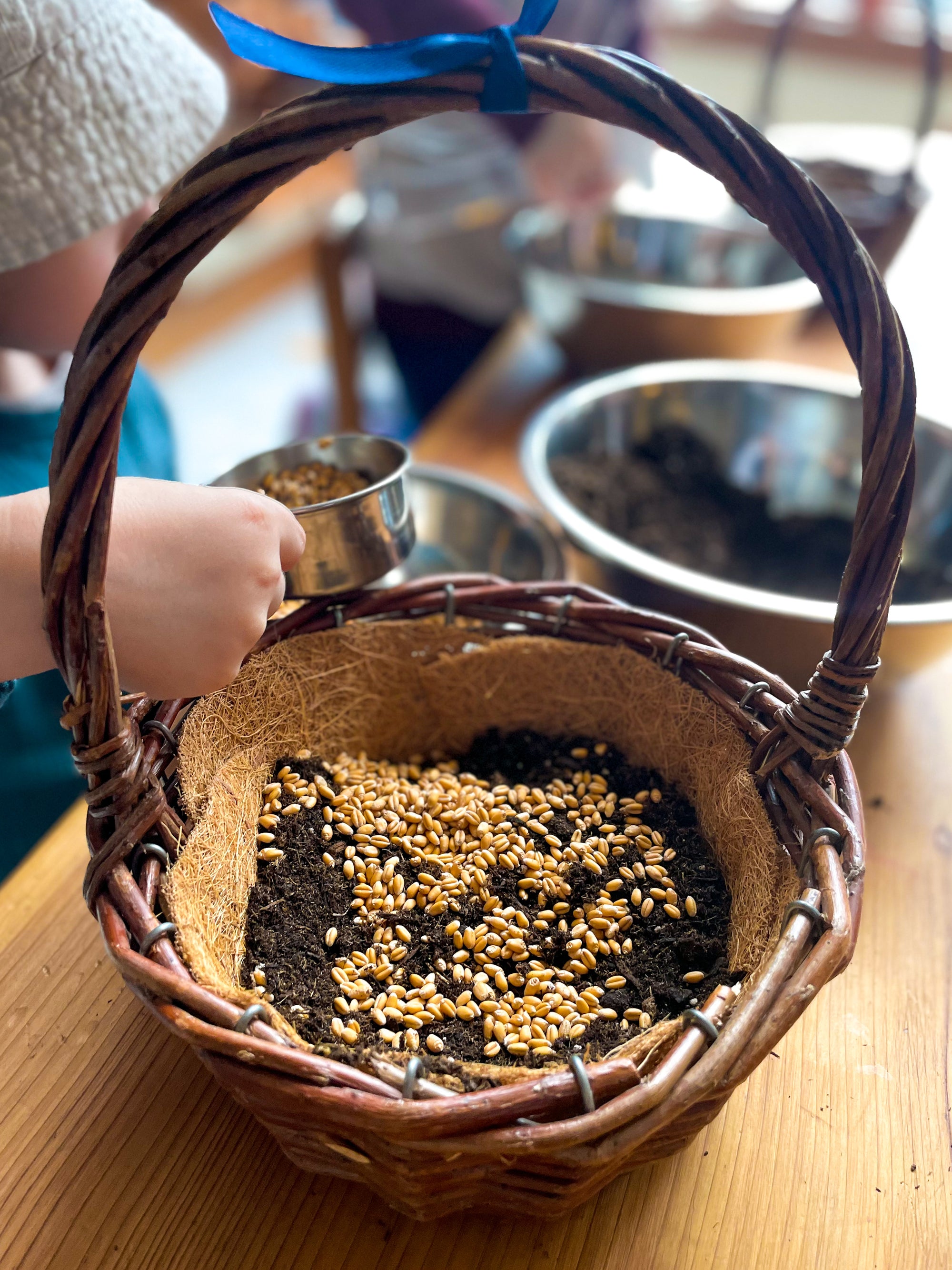 Natural Baskets (Small, Medium or Large)
