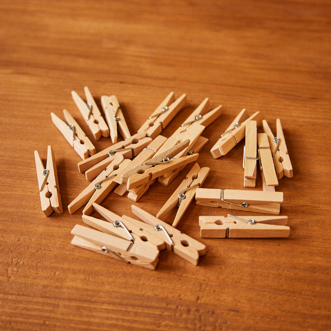 Mini Clothes Pins (Pack of 24)
