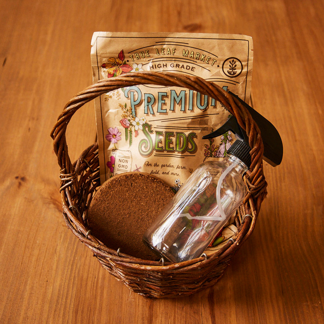 garden seeds gift basket Easter Wheat Grass Kit