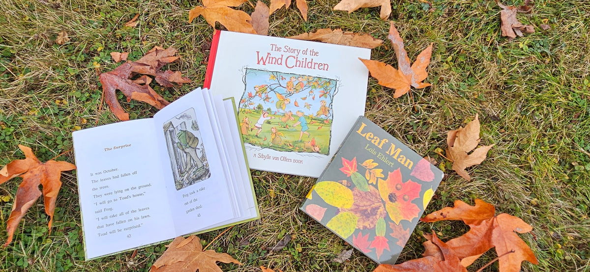 Birch Tree Book Nook: October Recommendations