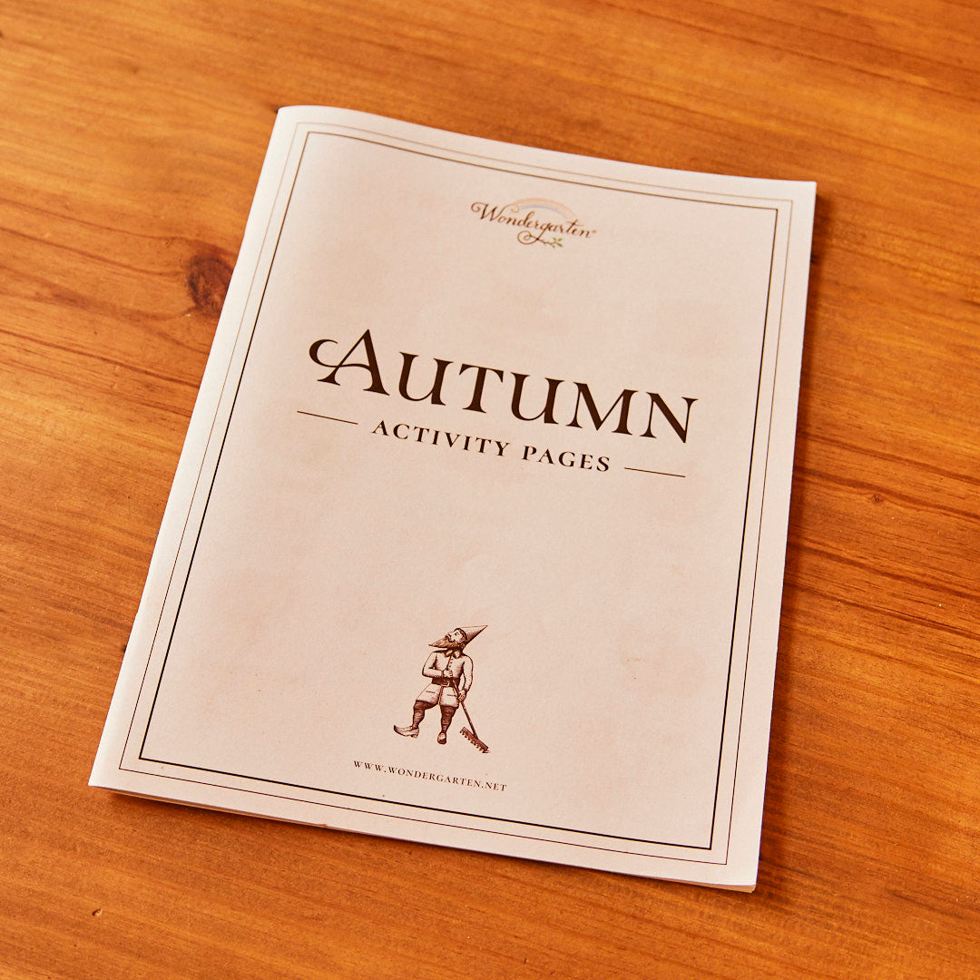 Autumn Activity Book