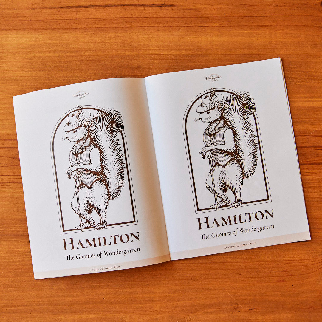 Autumn Activity Book