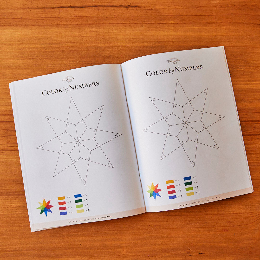 Autumn Activity Book