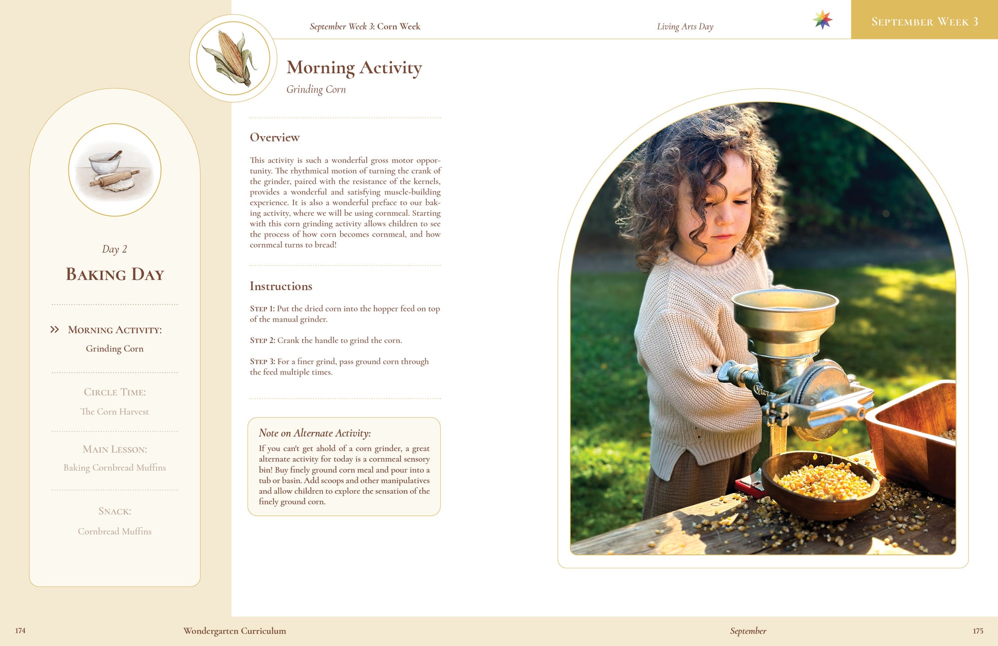 Autumn Curriculum (2nd Edition, Pre-Order)