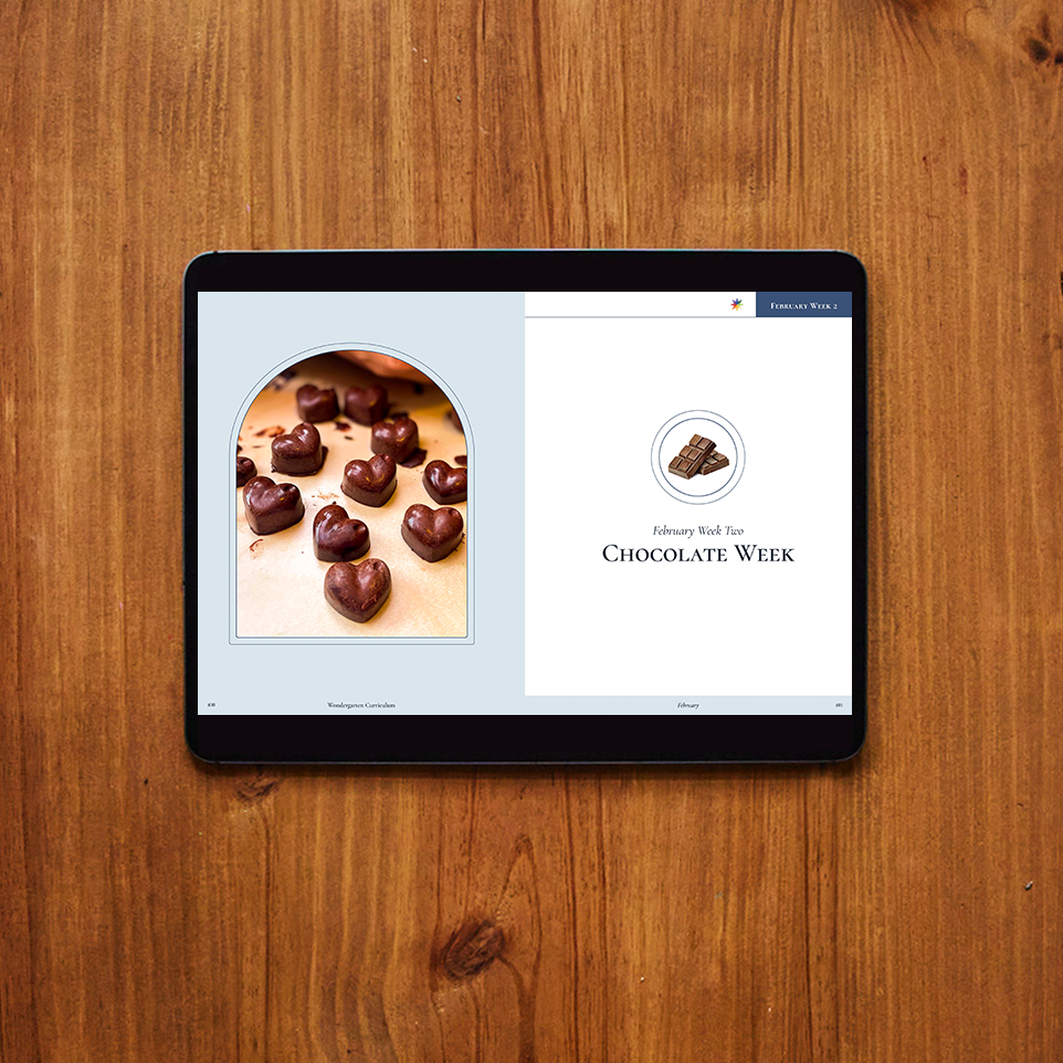 February Curriculum (Digital)