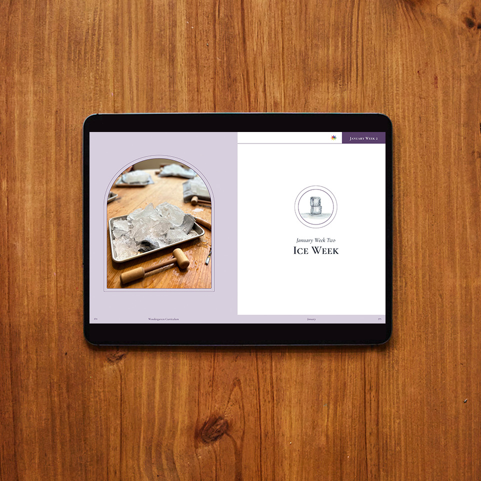 January Curriculum (Digital)