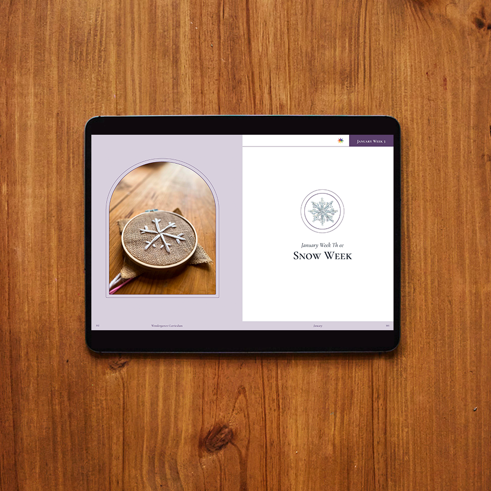 January Curriculum (Digital)