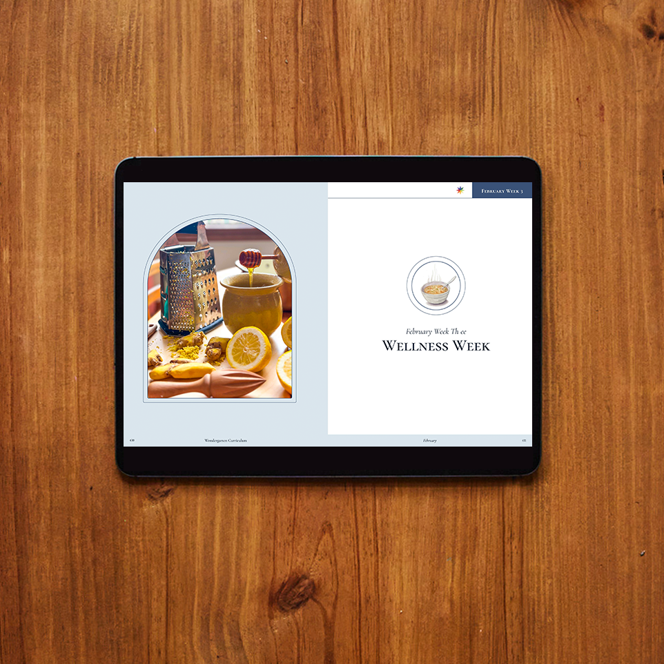 February Curriculum (Digital)