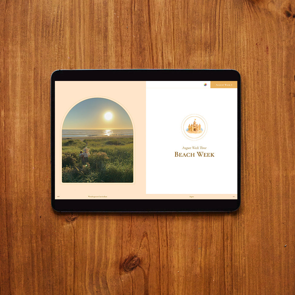 August Curriculum (Digital)