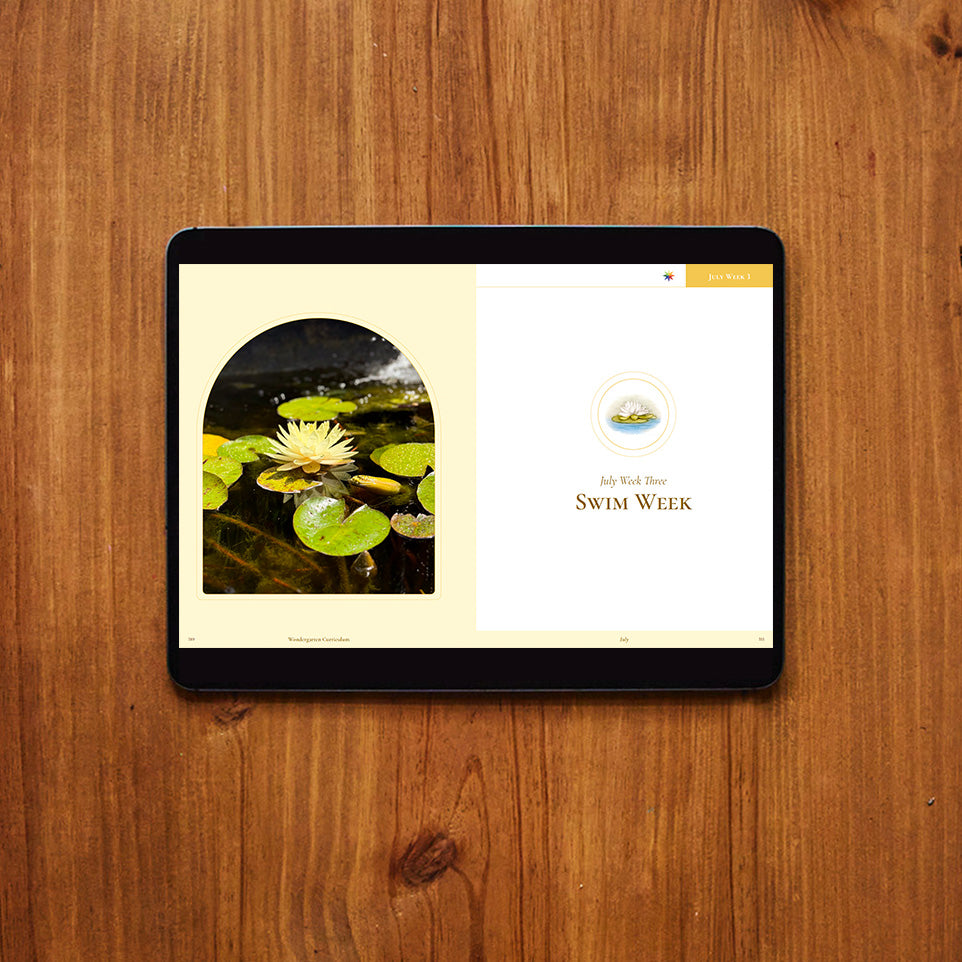 July Curriculum (Digital)