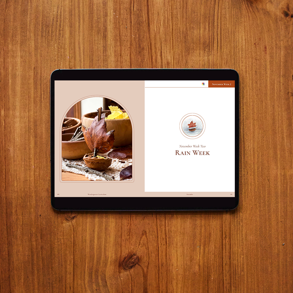 November Curriculum (Digital)