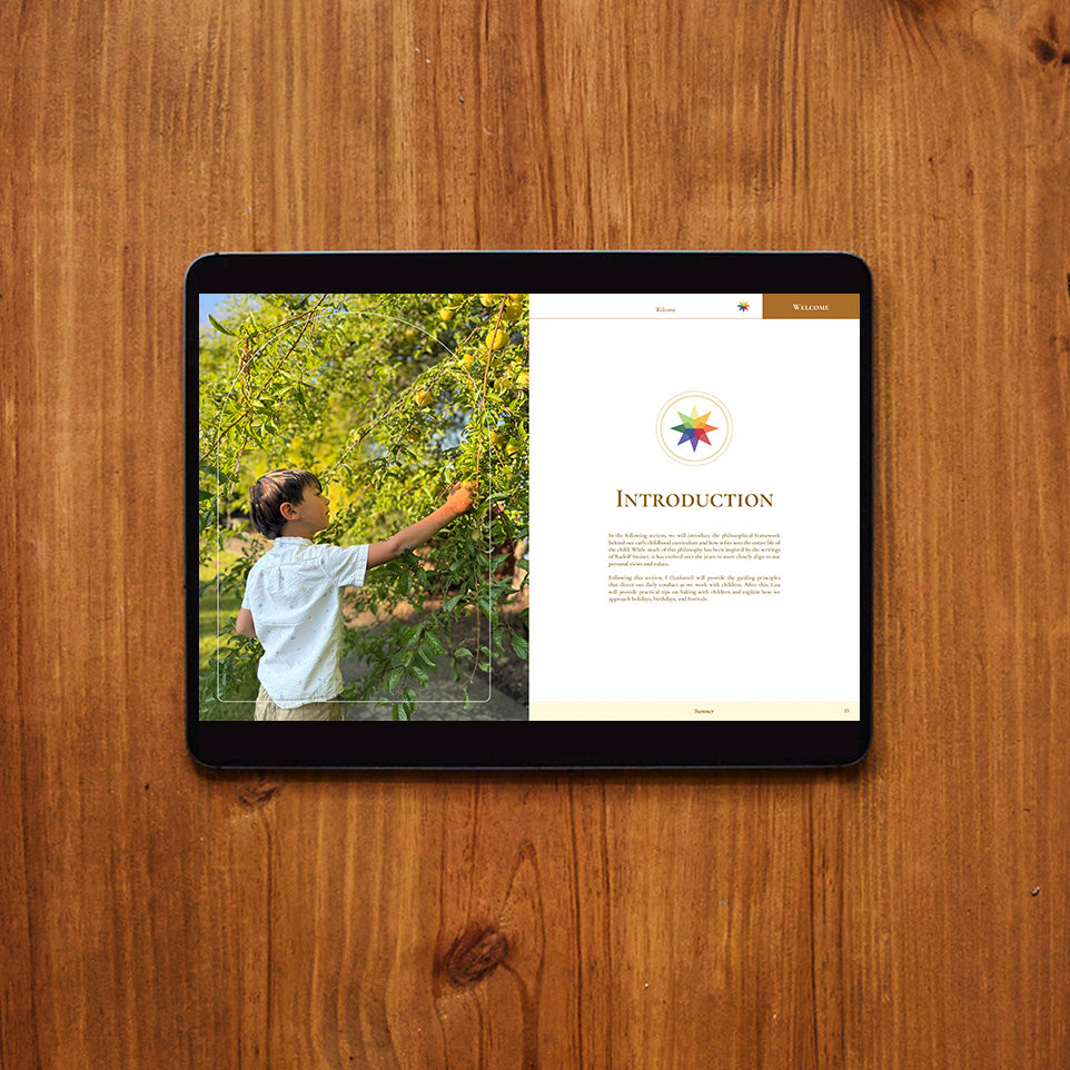 Introduction to Summer Curriculum (Digital)