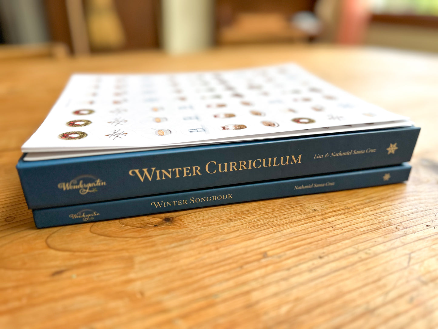 Winter Curriculum - Complete Bundle (Pre-Order)