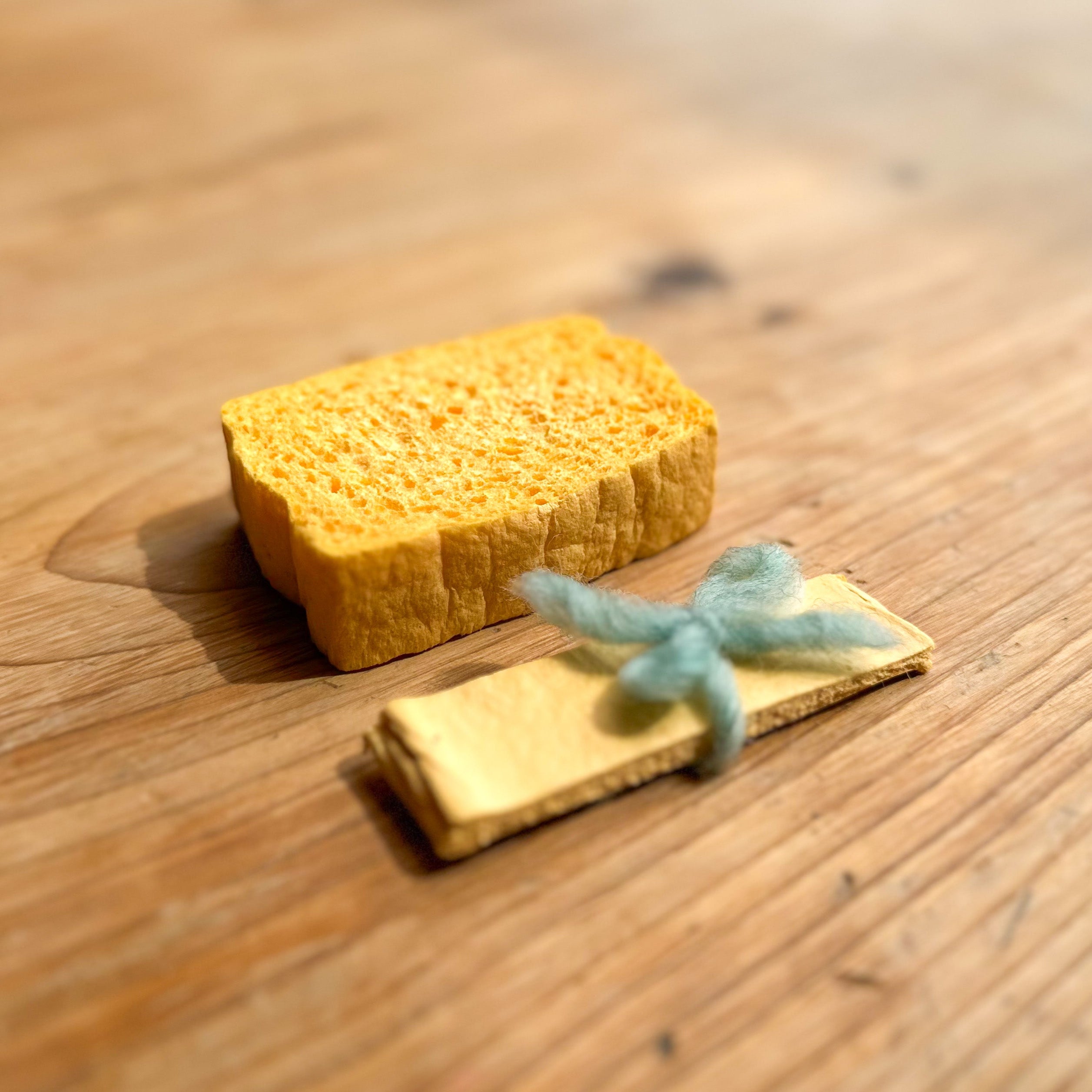 Pop-Up Cellulose Sponges (Set of 2) – Wondergarten