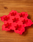 Snowflake Ice Molds