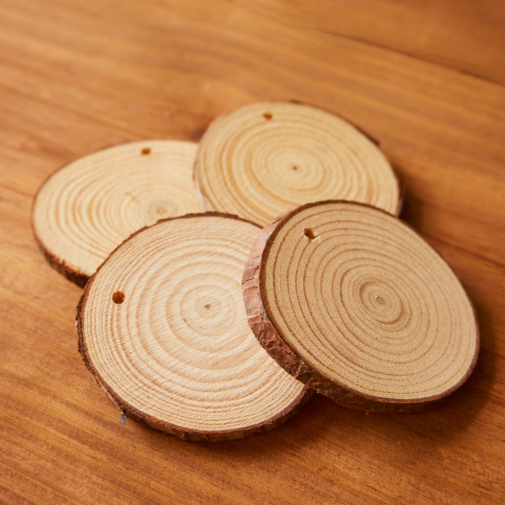 Wood Slice Rounds (Set of 4)