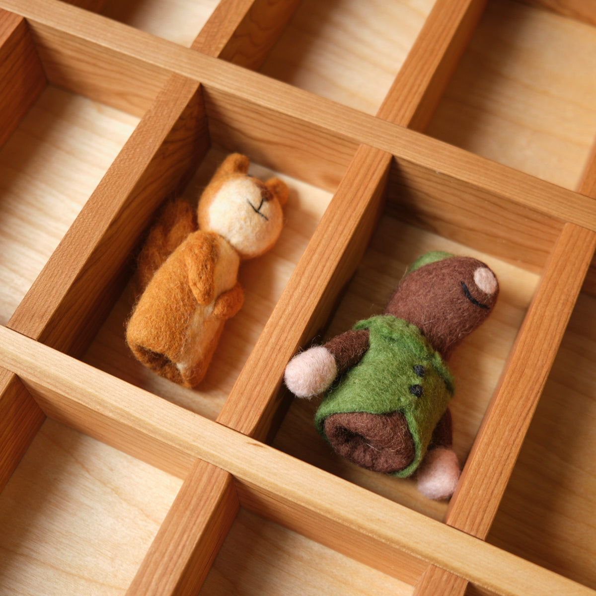 Puppet Display Box